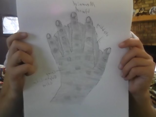 Mermaid hand